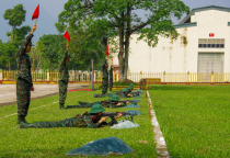 Các cơ quan Bộ Tư lệnh Binh chủng triển khai chuẩn bị và tổ chức kiểm tra năm 2024