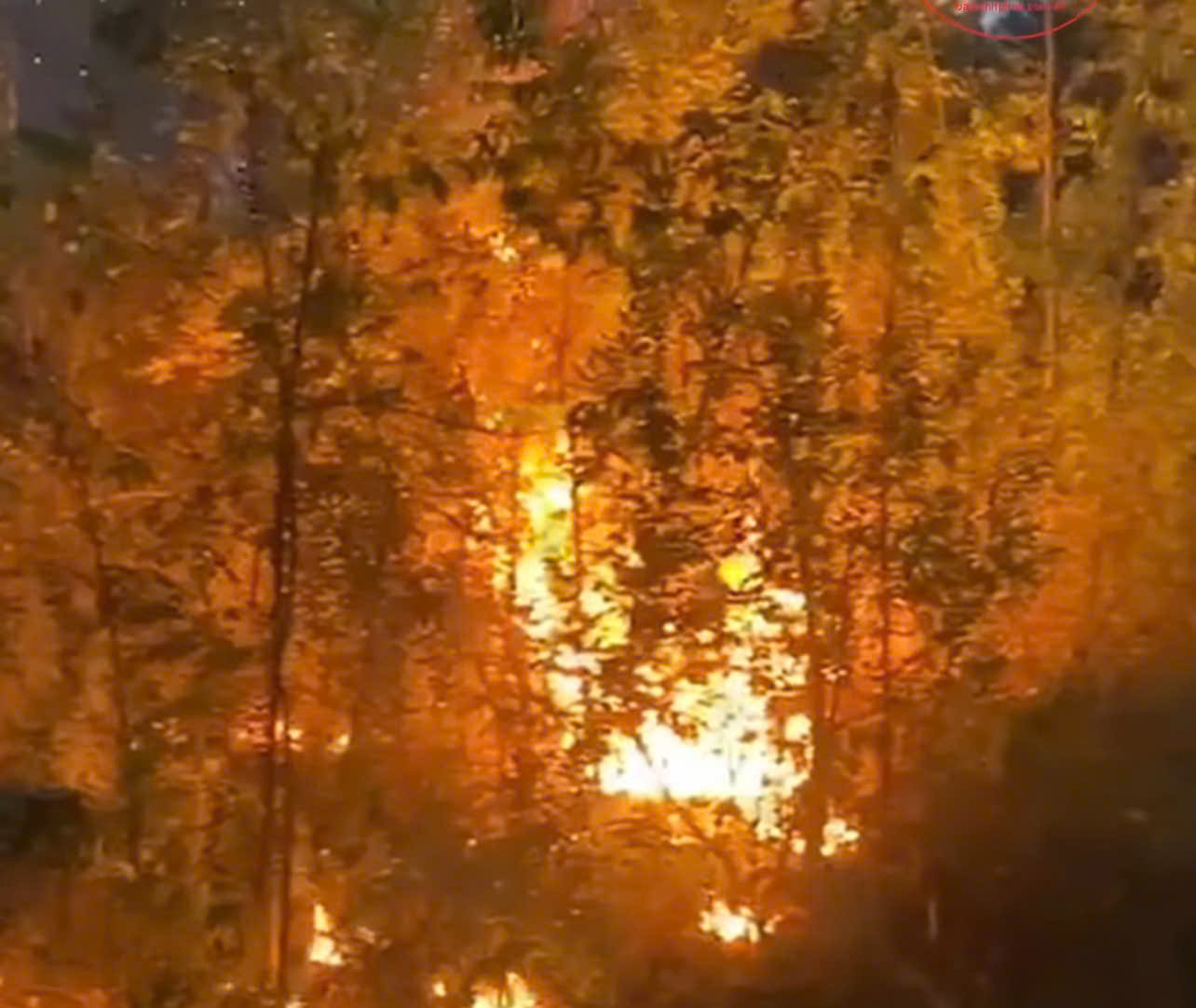 Cán bộ, học viên Trường Sĩ quan Tăng thiết giáp  tham gia chữa cháy rừng tại Vĩnh Phúc